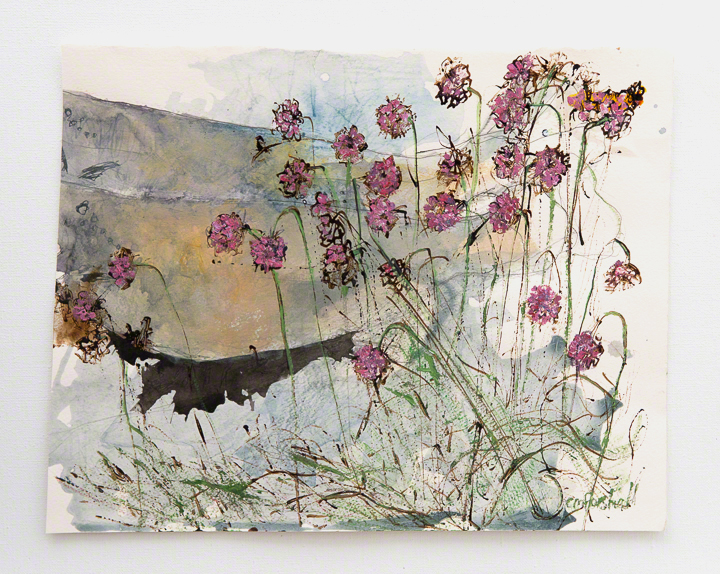 Ink and acrylic sketch on Paper by Catherine Forshall of sea thrift Armeria Maritima at Gwenver Beach Cornwall